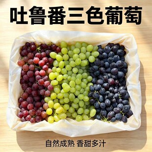 �½���������ɫ�������rˮ���o�����Ѽt��o�˰�����4����N���l