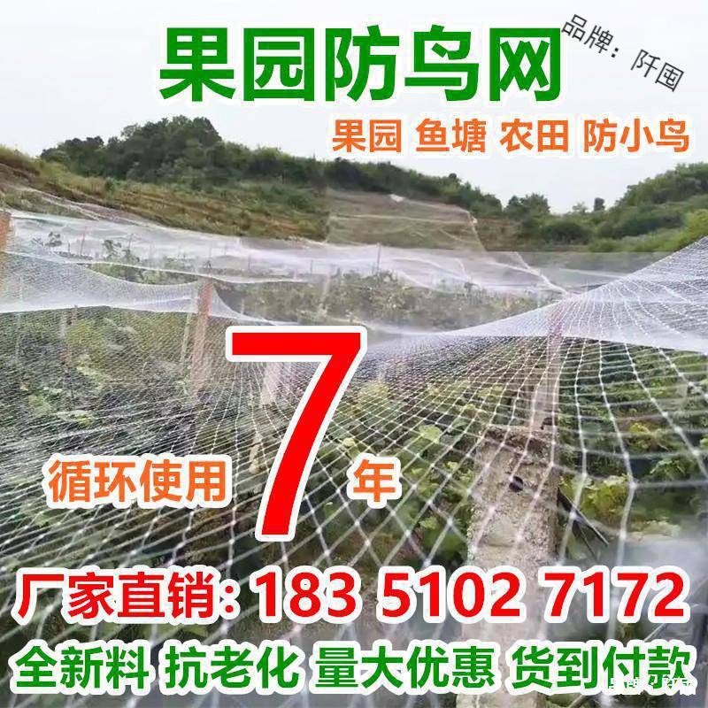 果园防鸟网尼龙网果树樱桃葡萄防鸟用的网鱼塘天网大棚防护养殖网