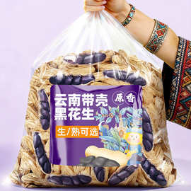 正宗云南黑花生新货带壳生的原味炒熟黑皮花生米年货特产零食坚果