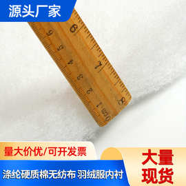 涤纶硬质棉无纺布 新品 羽绒服内衬服装领子填充布家居家纺用布