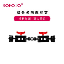 sofotop^B̨B֙CAηCOҕzӰz