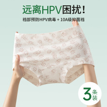 10A「预防HPV」10A纯棉印花熊有氧裤女士平角内裤纯棉四角裤