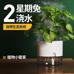 怠け者の緑のロリの野菜は自動的に水を吸い込みます。