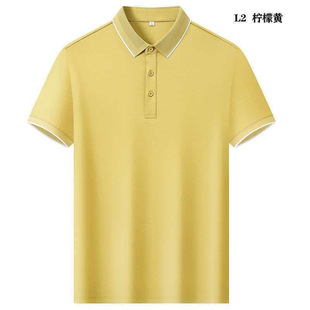 �S��ֱ�NGF2026�¿�IPOLO������V�����͏d���ՆTͨ��