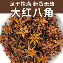 �V���˽����ϴ�ȫ��Ƥ���~�˽������{����؛�����t�a�����l���l