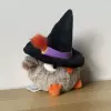 Witch Owl