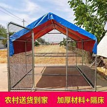 户外鸡棚养鸡搭建孔雀防雨特大号鸡笼大型家禽鸡舍家用养殖鸽笼