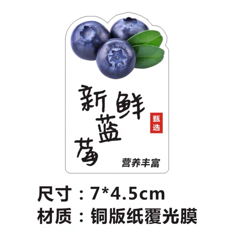 신선한 블루베리 7cm * 4.5cm 100개