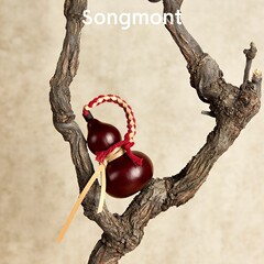 Songmont山下有松聚气葫包包挂件配饰复古国风设计师新款葫芦挂饰