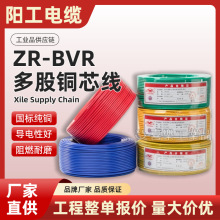 Vꖹ늾|2.5˼~4ƽ~оBVRübȼܛ