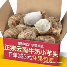 �����r�b����ϬF�����rС���^С��ܵ��������֙���ë���^�߲�