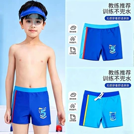 泳裤;连体泳衣;围巾