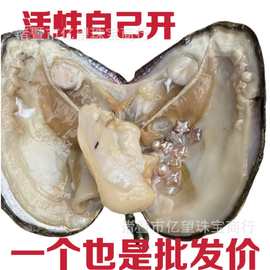 星星蚌批发养殖户珍珠蚌活蚌自己开珍珠蚌河蚌鲜活批发盲盒