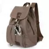 Brown [Bringing canvas shoes]