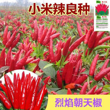 Nӳ콷NѳС׽߮aļ߲˷NݲѷN