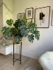 Big leaf turtle back height 90-100cm [including iron frame]