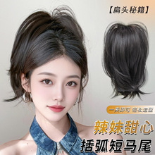 ���~�����Rβץ�Aʽ���B픶��Rβ����l���Rβ�p�����������Rβ