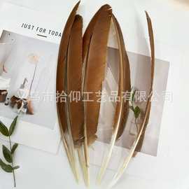 稀有孔雀刀翎窝翎羽毛幼儿园手工饰品配件diy装饰美术逗猫铺梦