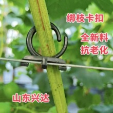 ���ѽ�֦���۫J������֦�K����֦�l֧�۹̶��������俨�����ϒ��h