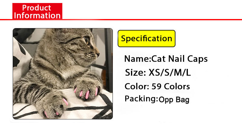 9254861289_1614002113-1