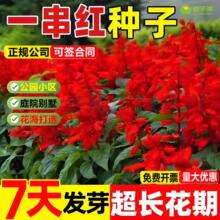 ���ڰ�һ���t�N�Ӱ����t�ߴ��t�����_���N���׷N���ͺ������t����