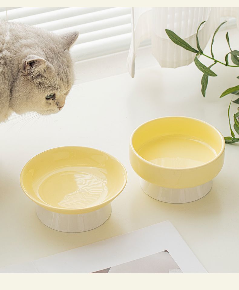 fc01cec3-8e1b-4e44-b328-41fba99ae718.jpe