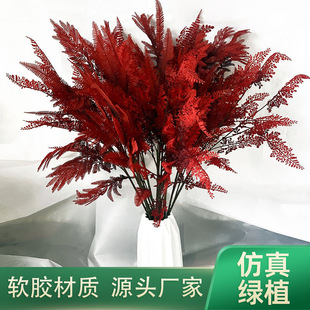 ���Q����ާ�ֲ���ָ�ܛ�z��˹�F�����Gֲ���ݻ�ˇ�Ӽ��b�
