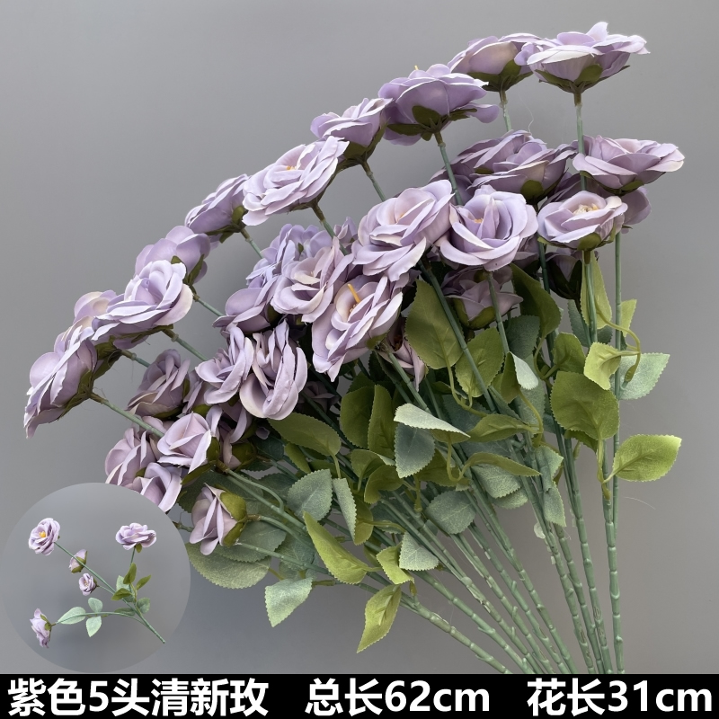 보라색 5개의 신선한 장미