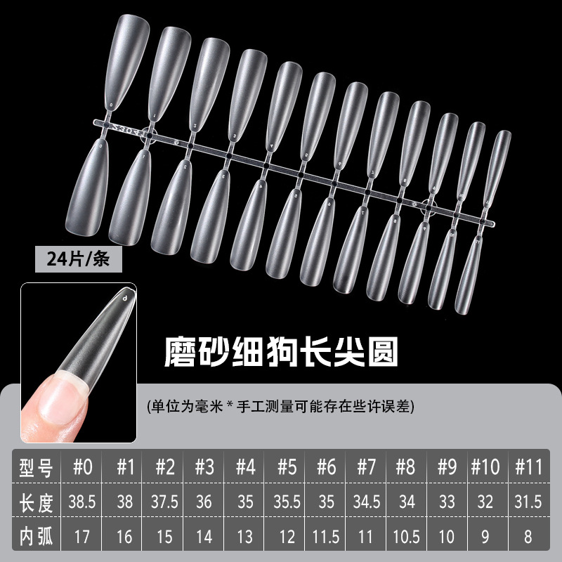 微信图片_20240311175012