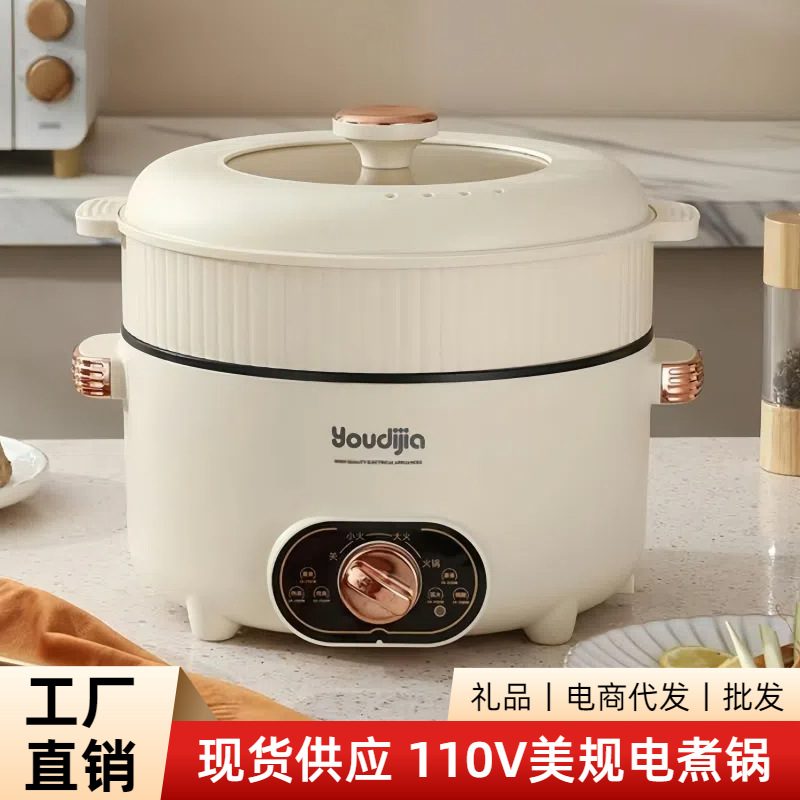 110V Us Standard Electric Hot Pot, Electric Cooking Pot, Hot Pot All-In-One Pot, Small Electric Pot, Electric Heating Pot, Electric Frying Pan, Dual-Purpose for Hot Pot and Grilling