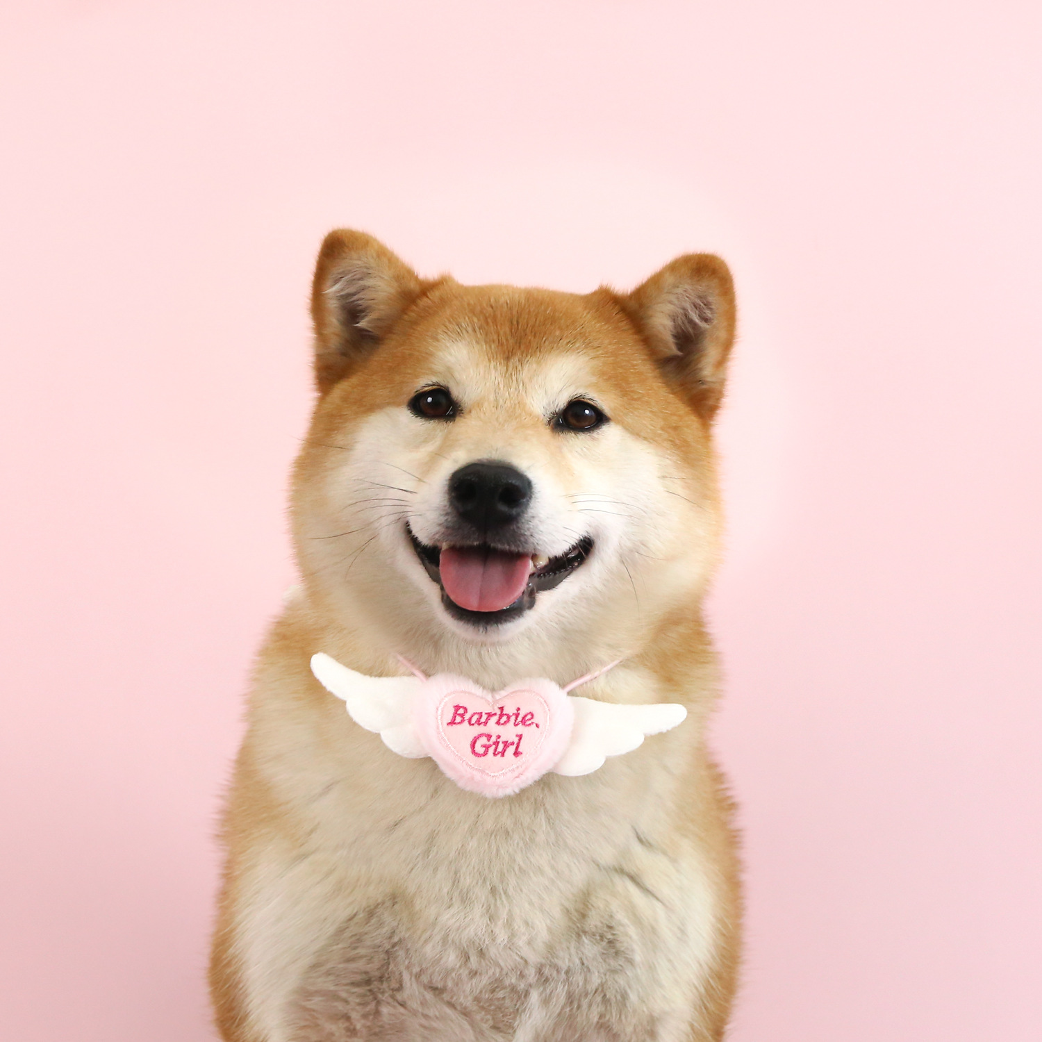 Pet cuadrícula amor collar de alas gatito cachorro Teddy Angel princesa buñuelo rosa azul lindo collar