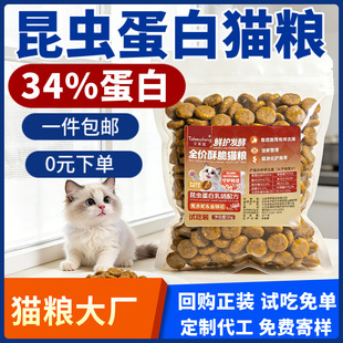 ��؈��ͥ؈��؈�Zȫ�r؈�Z���50������fu�ϳ���؈�Z�����������l