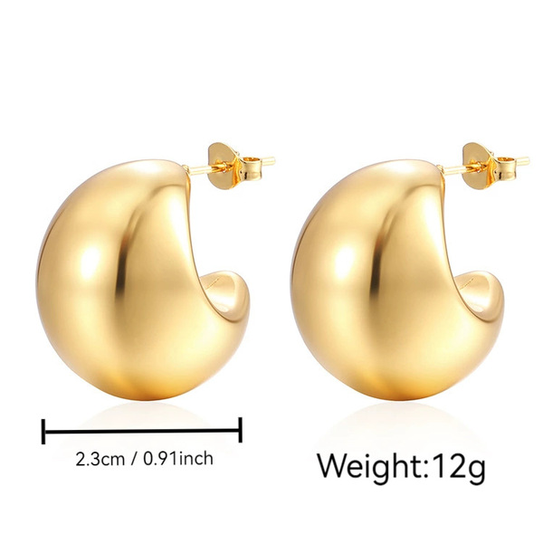earrings stainless steel