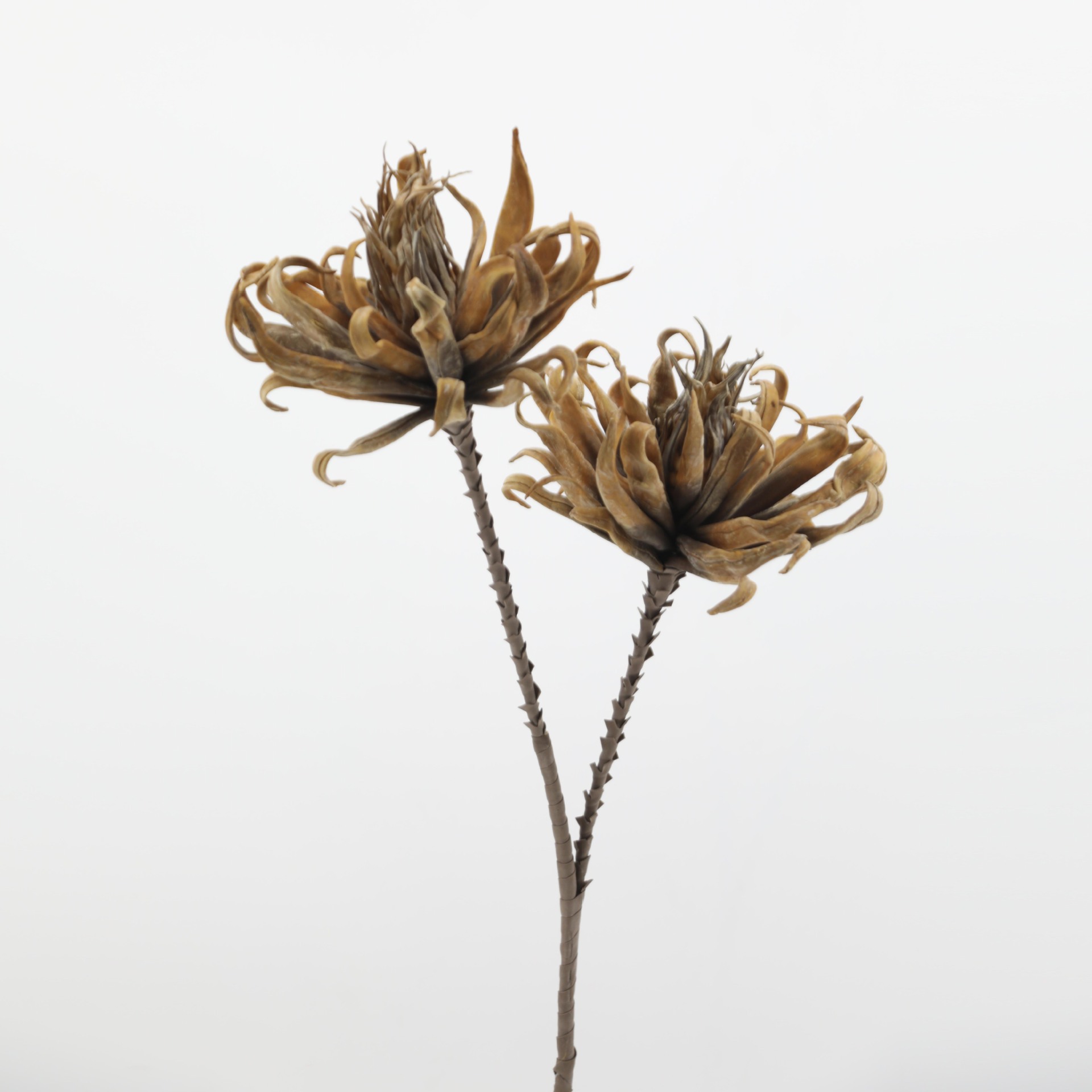 Flor de EVA PE falso patrón de decoración floral floral suelo floral flor seca floral suave floral espuma flor fotografía de boda