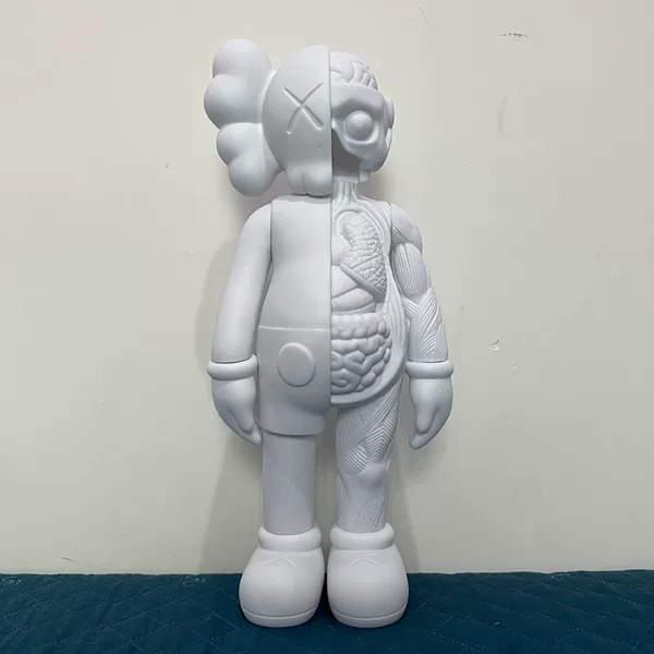 Anatomy, 20cm