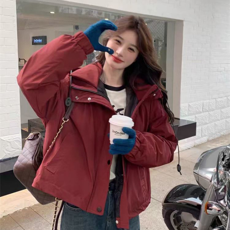 부르고뉴 고품질