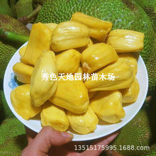 ̩��8̖12̖�t�Ⲥ�}�������ľ���}��޽��R������1̖�S�������