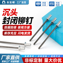 铝铁沉头抽芯铆钉封闭铆钉全铁铆钉铝铁抽芯铆钉封闭沉头抽芯铆钉