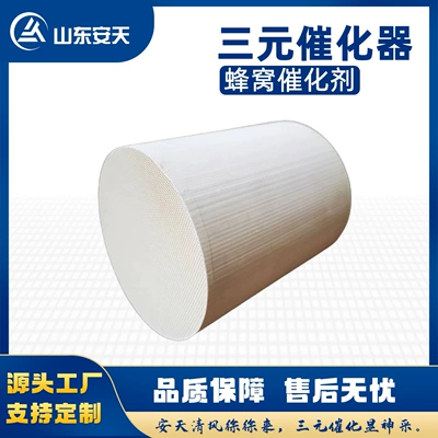 Manufacturer's Hot-Selling Katalizator