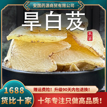 ܸșƷܸƬ׼ƬܸFݷҰܸƬƬ¸؛