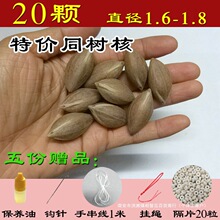 �ϙ���ִ�ԭ���_�h�������A�˼t�ͺˆκ˵��ִ��ϙ��ԭ��ԭ