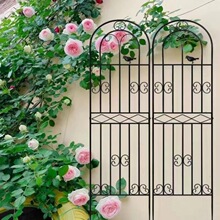 简约户外绿萝花架户外栏杆月季花攀爬架落地式花园铁艺植物花架子