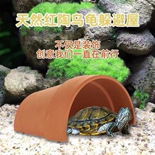 ������ڹ����පѨ��Ƭ��Ե�������ڹ����ڹ�ɹ̨��̨�쾰����վ