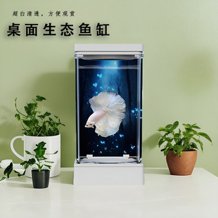 Thailand fighting fish special tank usb switch gradient lamp secret ecological desk indoor home creative fish tank