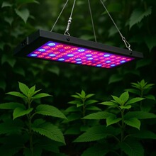 �羳��̱���90W ֲ���75��ȫ���Vֲ�����ˮ����ֲ�������оƬ