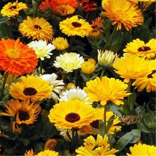 ��K�շN�Ӳ��N�_��̫ꖻ��N�����Ծմ��K���N�����ͺ��ļ���