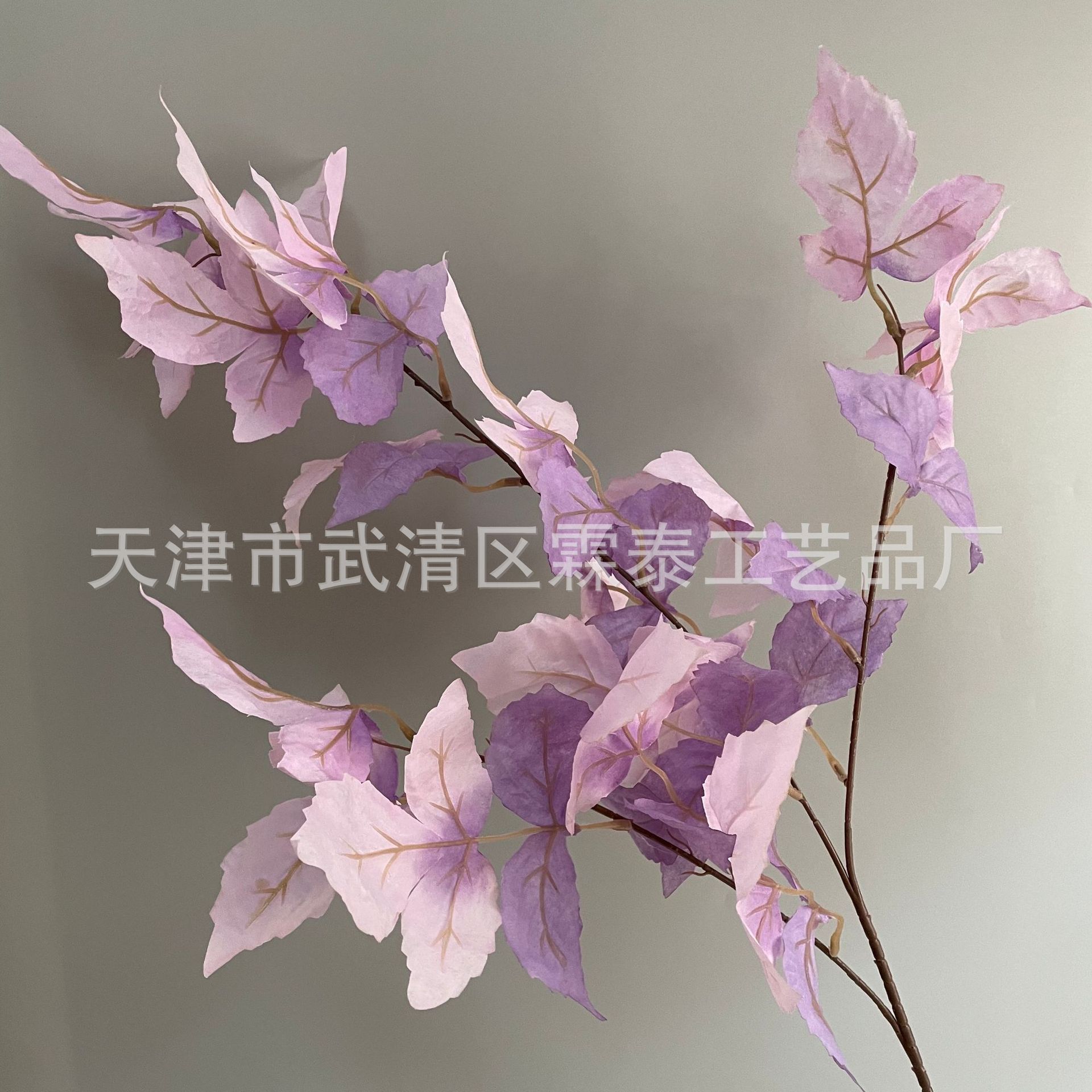 보라색