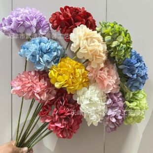 ��֦�ͮ�ɫ������滨�޻��ǽ����c�����b廨�ҾӾƵ�zӰ