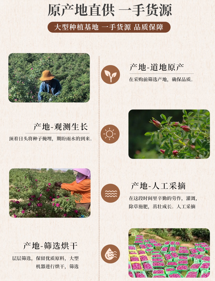 Kushui Rose Bud Tea Ku Shui Mei Gui 500g Natural Sun Dried Gansu Rose Buds for Herbal Infusions quality and texture