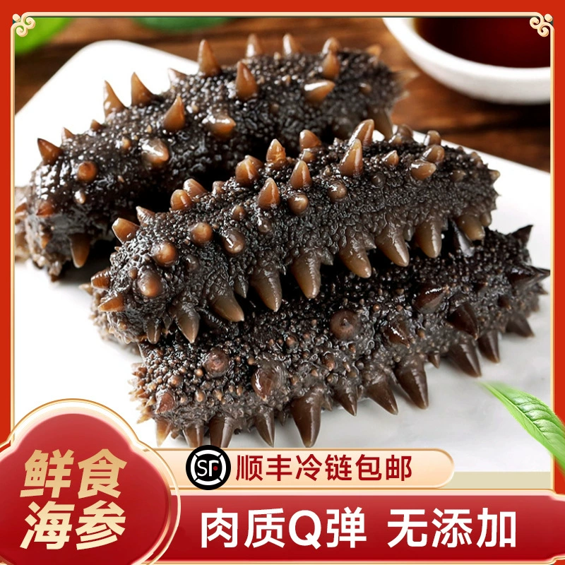 Далиан готовые к употреблению морские огурцы 500 г SF холодовая цепь подводное выращивание свежие морские огурцы Ляочэн свежие морские огурцы дропшиппинг